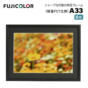 FUJICOLORmtWJ[nA~z A33 6 i6 VJbg䎆 PETV[gj