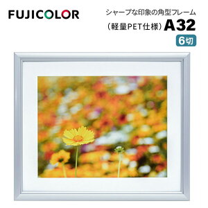 FUJICOLORmtWJ[nA~z A32 6 i6 VJbg䎆 PETV[gj