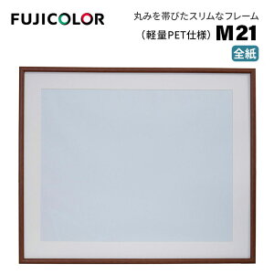 FUJICOLORmtWJ[nؐz M21 S iS ؐz ؖڒ uE Ǌ|Ήj