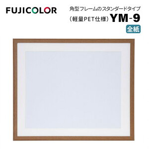 FUJICOLORmtWJ[nؐz YM-9 S uE i uE ؖ S PETj