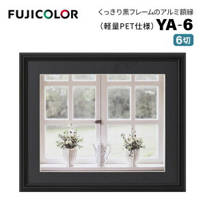 FUJICOLORmtWJ[nA~z YA-6 6 ubN i6 t[ ubN  Ǌ|Ήj