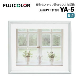 FUJICOLOR�m�t�W�J���[�n�A���~�z�� YA-5 6�� �V���o�[ �i6�� �t���[�� �V���o�[ �t�W�J���[ �Ǌ|���Ή��j