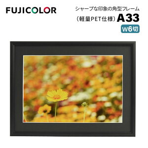 FUJICOLORmtWJ[nA~z A33 Ch6 iCh6 VJbg䎆 PETV[gj