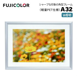 FUJICOLORmtWJ[nA~z A32 Ch6 iCh6 VJbg䎆 PETV[gj