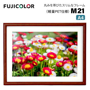 FUJICOLORmtWJ[nؐz M21 A4 iA4 ؐz ؖڒ uE tWJ[ Ǌ|Ήj