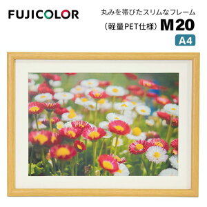 FUJICOLORmtWJ[nؐz M20 A4 iA4 ؐz ؖڒ ؒn Ǌ|Ήj