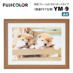 FUJICOLORmtWJ[nؐz YM-9 A4 uE i uE ؖ A4 PETj