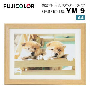 FUJICOLORmtWJ[nؐz YM-9 A4 ؒn i ؒn ؖ i` A4 PETj