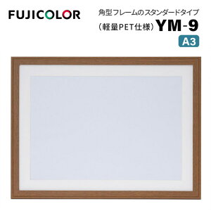 FUJICOLORmtWJ[nؐz YM-9 A3 uE i uE ؖ A3 PETj