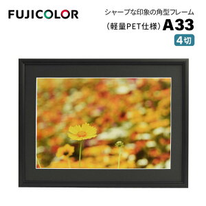 FUJICOLORmtWJ[nA~z A33 4 iVJbg䎆 PETV[gj