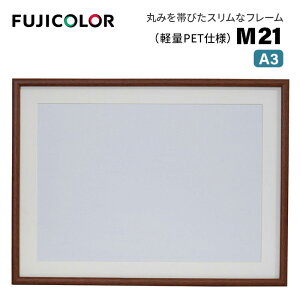 FUJICOLORmtWJ[nؐz M21 A3 iA3 ؐz ؖڒ uE Ǌ|Ήj