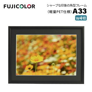 FUJICOLORmtWJ[nA~z A33 Ch4 iCh4 VJbg䎆 PETV[gj