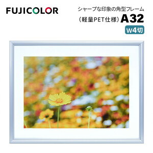 FUJICOLORmtWJ[nA~z A32 Ch4 iCh4 VJbg䎆 PETV[gj