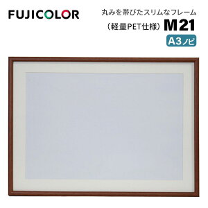 FUJICOLORmtWJ[nؐz M21 A3mr iA3mr ؐz ؖڒ uE Ǌ|Ήj