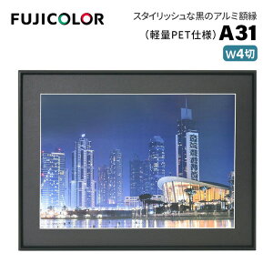 FUJICOLORmtWJ[nA~z A31 Ch4 ubN i ubN Ch4 PETj