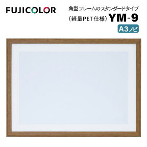 FUJICOLORmtWJ[nؐz YM-9 A3mr uE i uE ؖ A3mr PETj