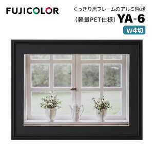 FUJICOLORmtWJ[nA~z YA-6 Ch4 ubN iCh4 t[ ubN  Ǌ|Ήj