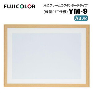 FUJICOLORmtWJ[nؐz YM-9 A3mr ؒn i ؒn ؖ i` A3mr PETj