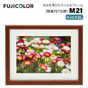 FUJICOLOR�m�t�W�J���[�n�ؐ��z�� M21 �L���r�l�i2L�j �i�� �ؖڒ� �u���E�� �X�^���h�t�� �Ǌ|���Ή��j