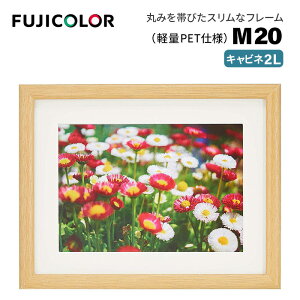 FUJICOLORmtWJ[nؐz M20 Lrli2Lj i ؖڒ ؒn X^ht Ǌ|Ήj