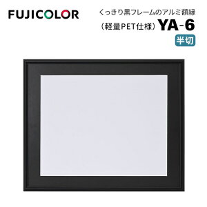 FUJICOLORmtWJ[nA~z YA-6  ubN i t[ ubN  Ǌ|Ήj