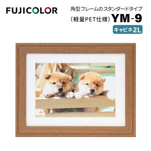 FUJICOLORmtWJ[nؐz YM-9 Lrli2Lj uE i uE ؖ Lrl 2L PETj