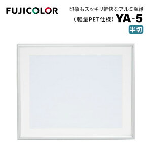 FUJICOLORmtWJ[nA~z YA-5  Vo[ i t[ Vo[ Ǌ|Ήj