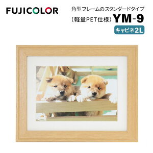 FUJICOLORmtWJ[nؐz YM-9 Lrli2Lj ؒn i ؒn ؖ i` Lrl PETj