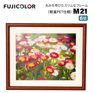 FUJICOLORmtWJ[nؐz M21 6 i6 ؐz ؖڒ uE tWJ[ Ǌ|Ήj