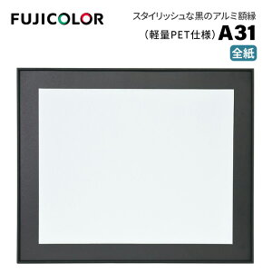 FUJICOLORmtWJ[nA~z A31 S ubN i ubN S PETj