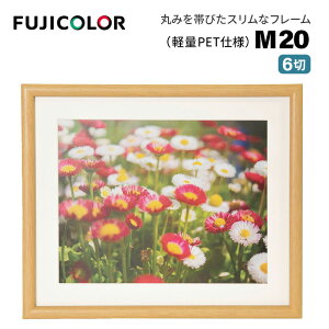 FUJICOLORmtWJ[nؐz M20 6 i 6 ؖڒ ؒn Ǌ|Ήj