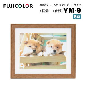 FUJICOLORmtWJ[nؐz YM-9 6 uE i uE ؖ 6 PETj