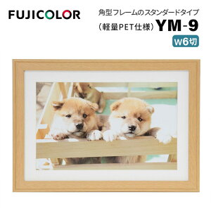 FUJICOLORmtWJ[nؐz YM-9 Ch6 ؒn i ؒn ؖ i` Ch6 PETj