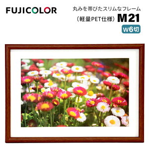FUJICOLOR�m�t�W�J���[�n�ؐ��z�� M21 ���C�h6�� �i���C�h6�� �ؐ��z�� �ؖڒ� �u���E�� �Ǌ|���Ή��j