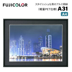 FUJICOLORmtWJ[nA~z A31 A4ubN i ubN A4 PETj