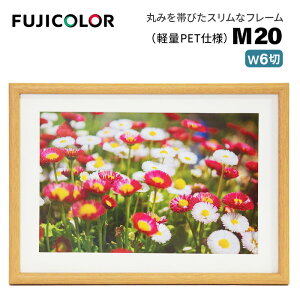 FUJICOLORmtWJ[nؐz M20 Ch6 iCh6 ؐz ؖڒ ؒn Ǌ|Ήj