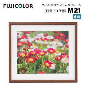 FUJICOLORmtWJ[nؐz M21 4 i4 ؐz ؖڒ uE tWJ[ Ǌ|Ήj