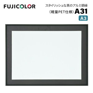FUJICOLORmtWJ[nA~z A31 A3 ubN i ubN A3 PETj