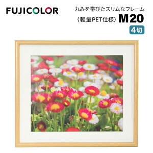 FUJICOLORmtWJ[nؐz M20 4 i4 ؐz ؖڒ ؒn Ǌ|Ήj