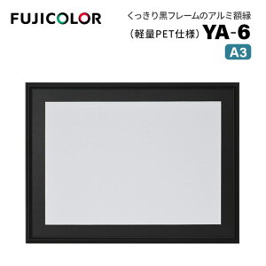 FUJICOLORmtWJ[nA~z YA-6 A3 ubN iA3 t[ ubN  Ǌ|Ήj