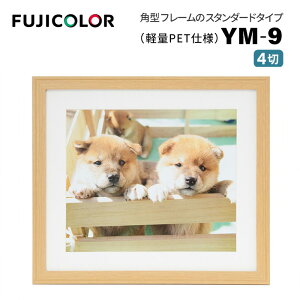 FUJICOLORmtWJ[nؐz YM-9 4 ؒn i ؒn ؖ i` 4 PETj
