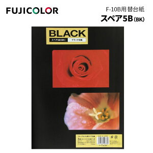 FUJICOLORmtWJ[nXyAAo䎆 t[ XyA 5BiBKj F10B BK pE䎆5ErYtEubN