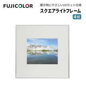 FUJICOLORmtWJ[nz XNGACgt[ AN 4 A~ Vo[