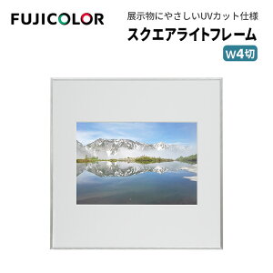 FUJICOLORmtWJ[nz XNGACgt[ AN Ch4 A~ Vo[