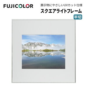 FUJICOLORmtWJ[nz XNGACgt[ AN  A~ Vo[