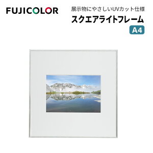 FUJICOLORmtWJ[nz XNGACgt[ AN A4 A~ Vo[