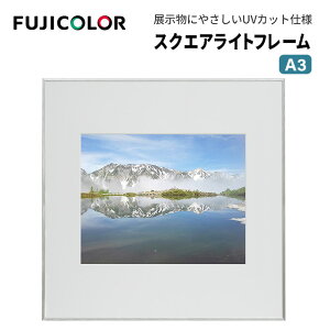 FUJICOLORmtWJ[nz XNGACgt[ AN A3 A~ Vo[