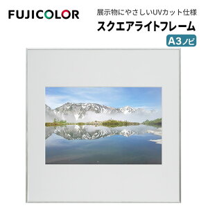 FUJICOLORmtWJ[nz XNGACgt[ AN A3mr A~ Vo[
