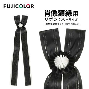 FUJICOLORmtWJ[nz pi ёzp{ t[TCY [ KpzTCY 4؃TCYȏ ] ubN