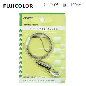 FUJICOLORmtWJ[n~jC[ 100cm iʐ^ z Wpj